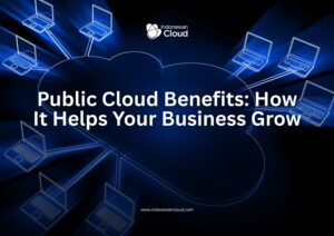 Public Cloud Benefits: How It Helps Your Business Grow