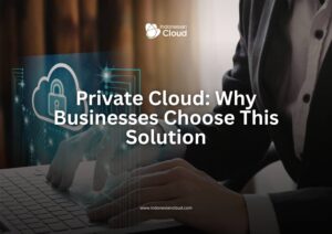 Private Cloud: Why Businesses Choose This Solution
