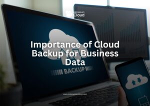 Importance of Cloud Backup for Business Data